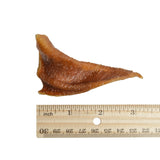 Pig Ears