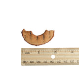 Apple Slices